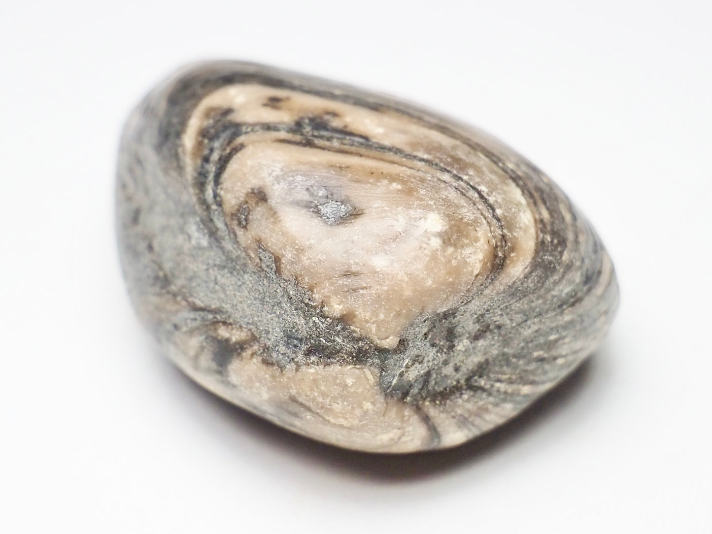 Polished Shell - Pick N Mix