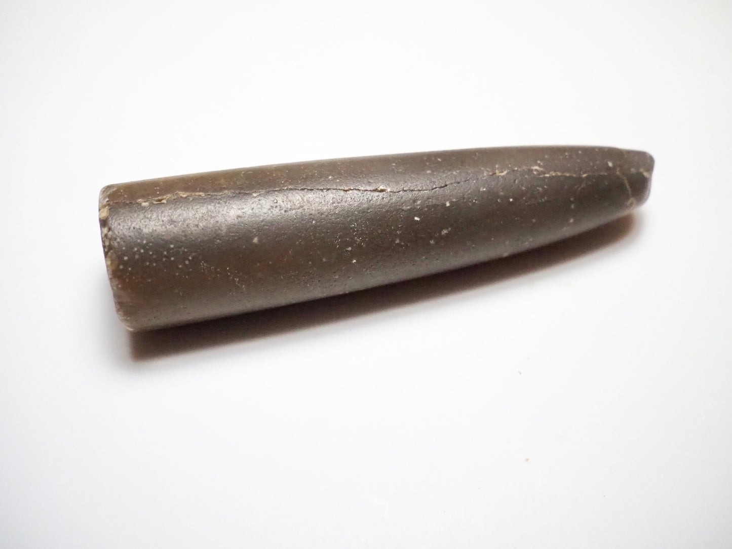 Belemnite Specimen