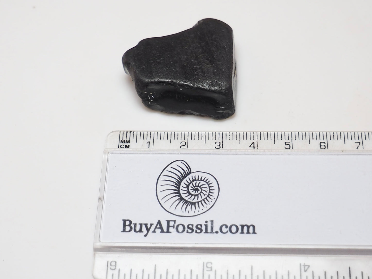 Raw Whitby Jet Specimen (9g) – Authentic Whitby Jet