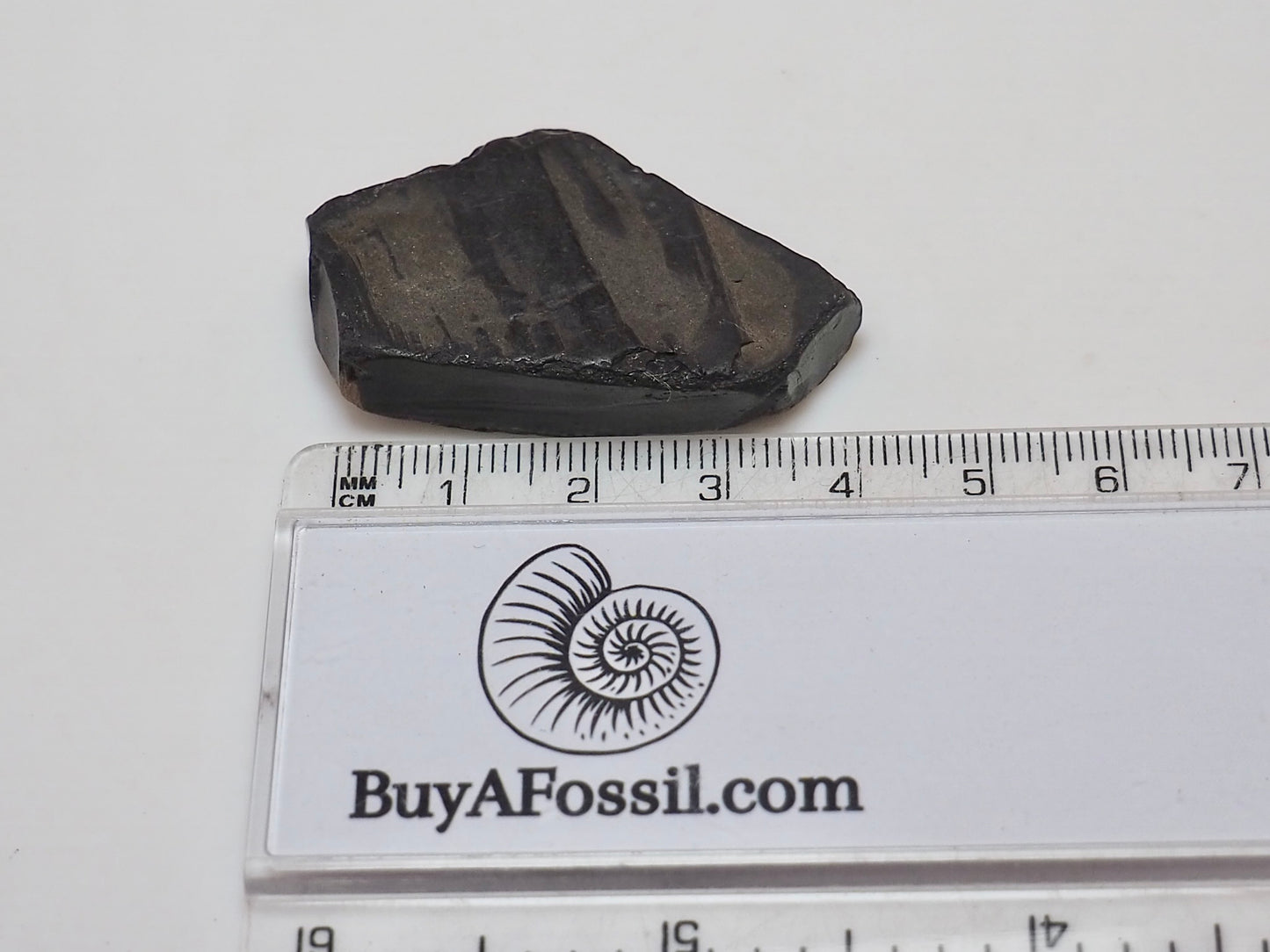 Raw Whitby Jet Specimen (7.9g) – Authentic Whitby Jet