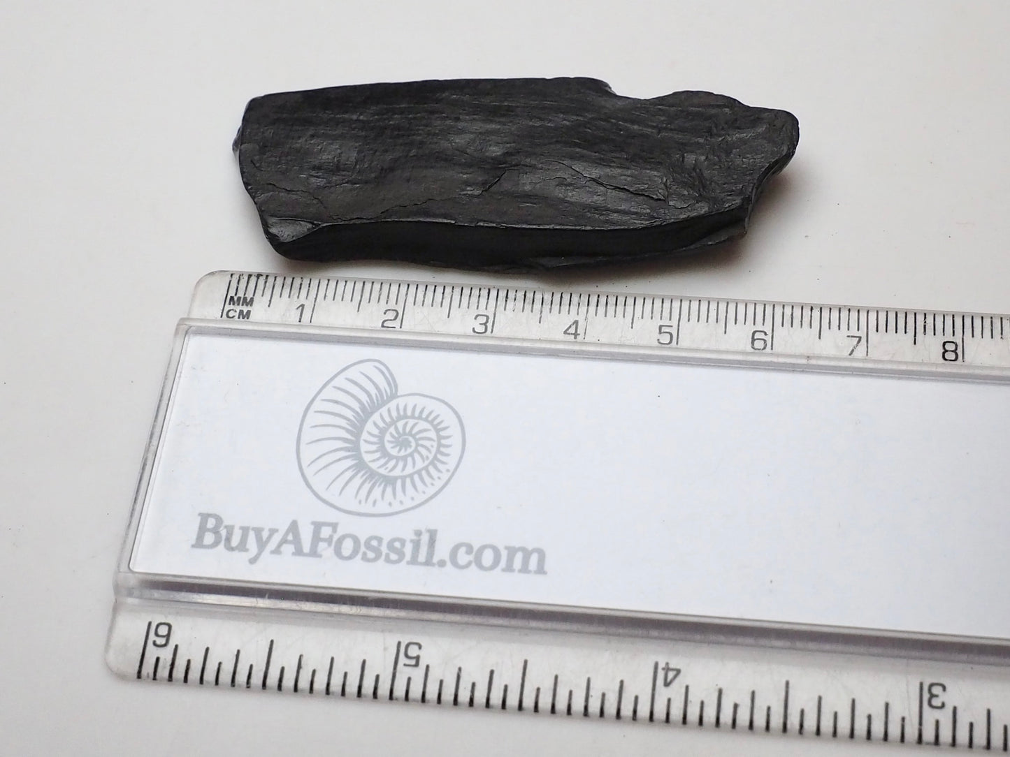 Raw Whitby Jet Specimen (7.5g) – Authentic Whitby Jet