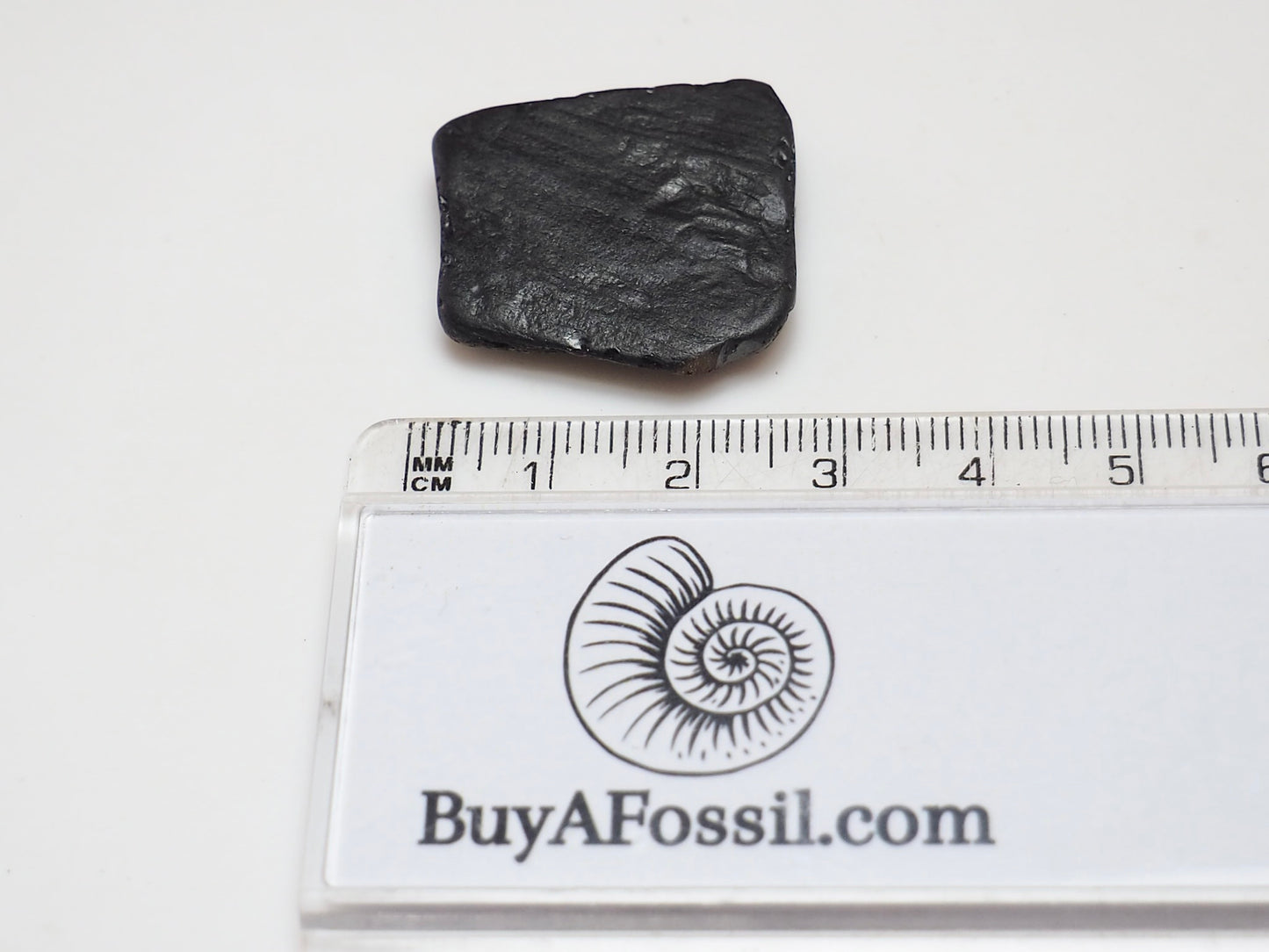 Raw Whitby Jet Specimen (3.5g) – Authentic Whitby Jet