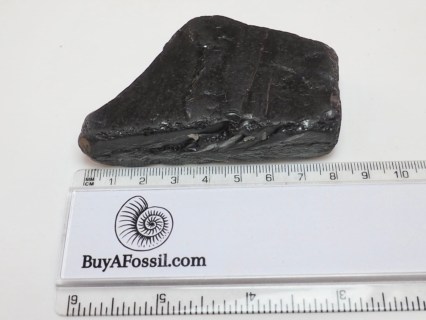 Raw Whitby Jet Specimen (63g) – Authentic Whitby Jet