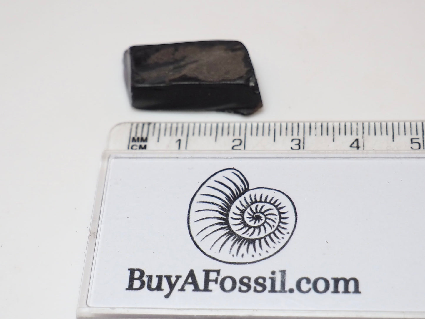 Raw Whitby Jet Specimen (1.9g) – Authentic Whitby Jet