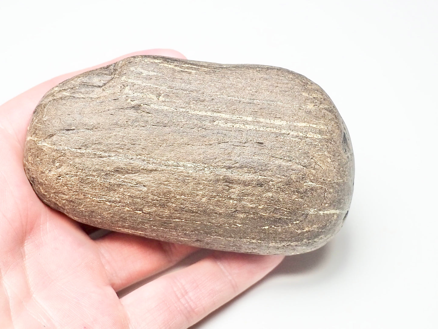 Fossil Wood - Pick N Mix