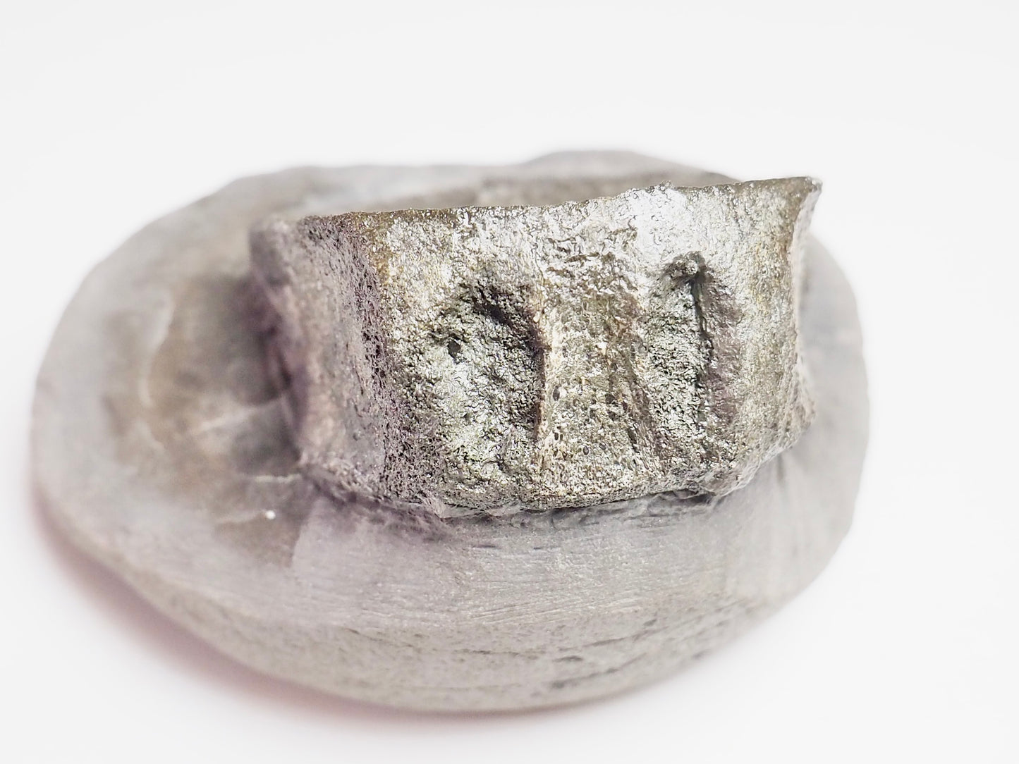 Ichthyosaur Vert