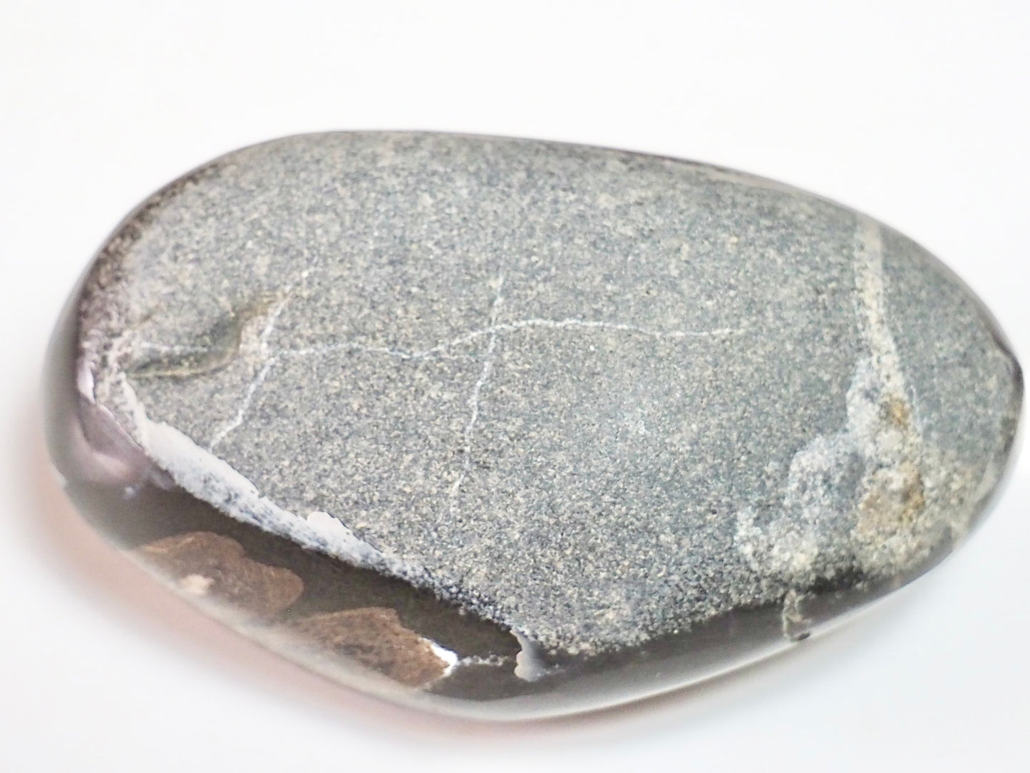 Polished Ichthyosaur Fossil Pebble – Paperweight