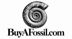 BuyAFossil
