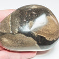 Polished Fossil Bone Paperweight – Possible Ichthyosaur – Whitby Yorkshire Coast Jurassic