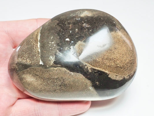 Polished Fossil Bone Paperweight – Possible Ichthyosaur – Whitby Yorkshire Coast Jurassic