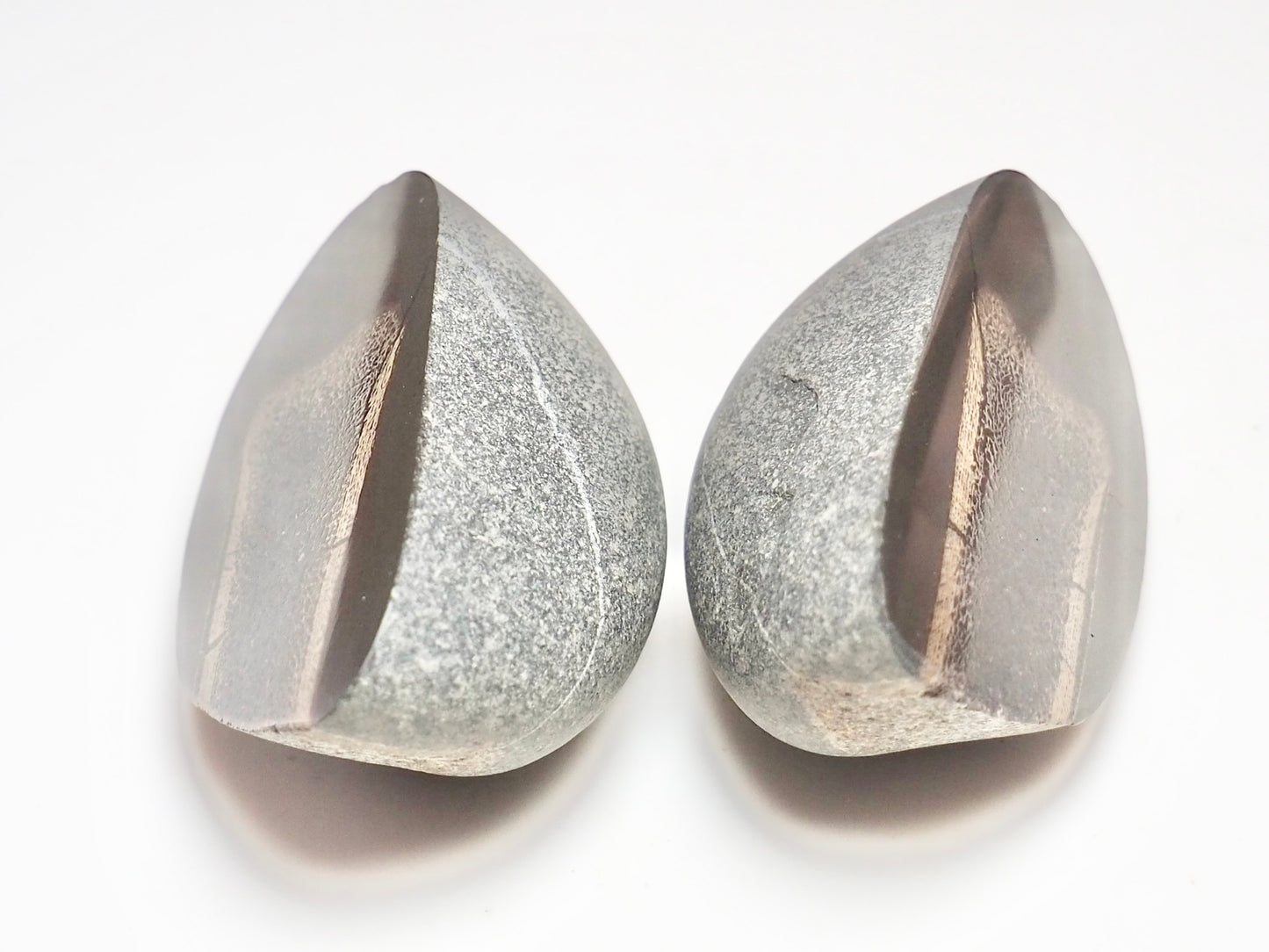 Cut & Polished Ichthyosaur Paddle Bone Fossil – Whitby Yorkshire Coast – Jurassic