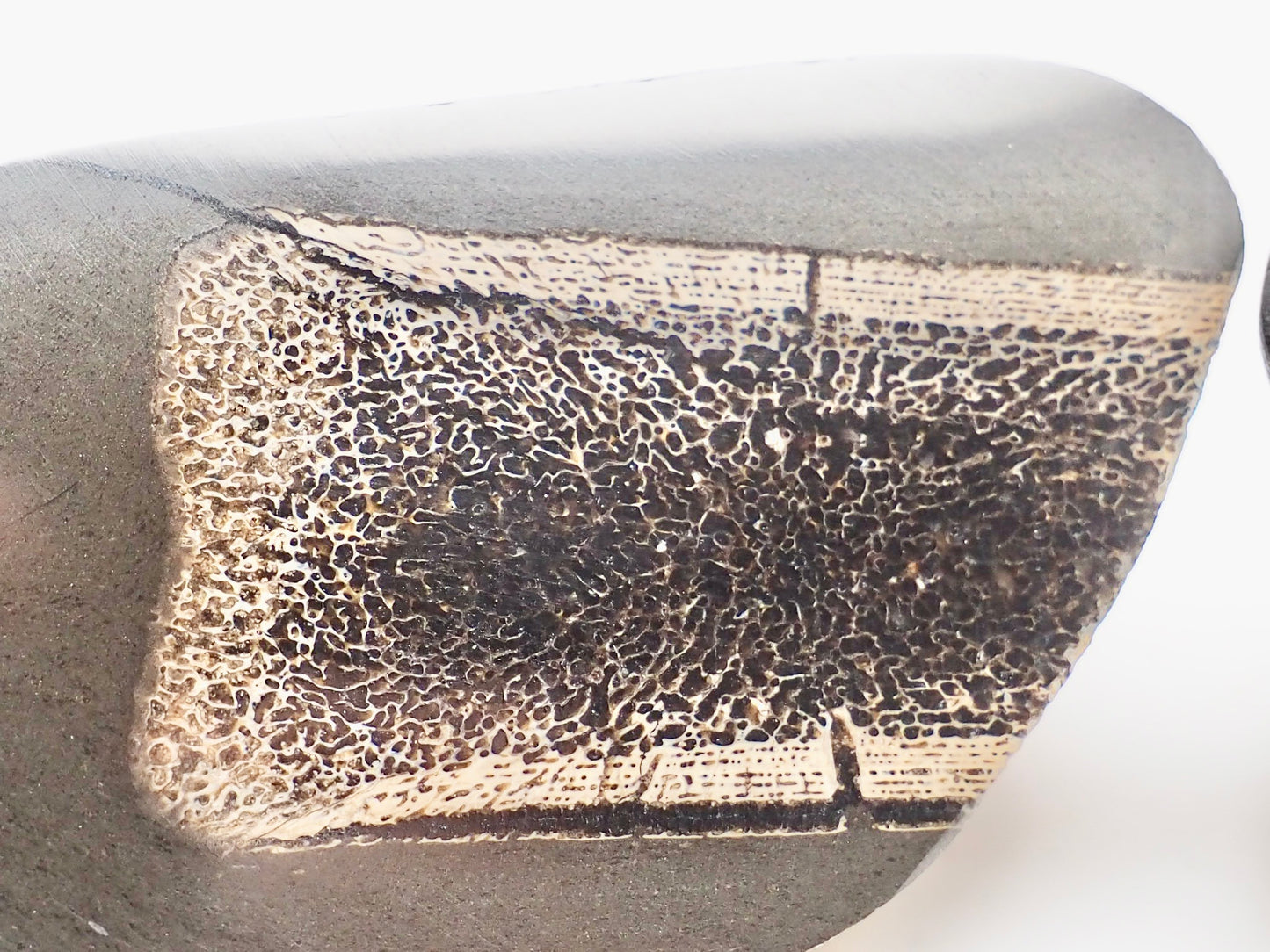 Cut & Polished Ichthyosaur Paddle Bone Fossil – Whitby Yorkshire Coast – Jurassic