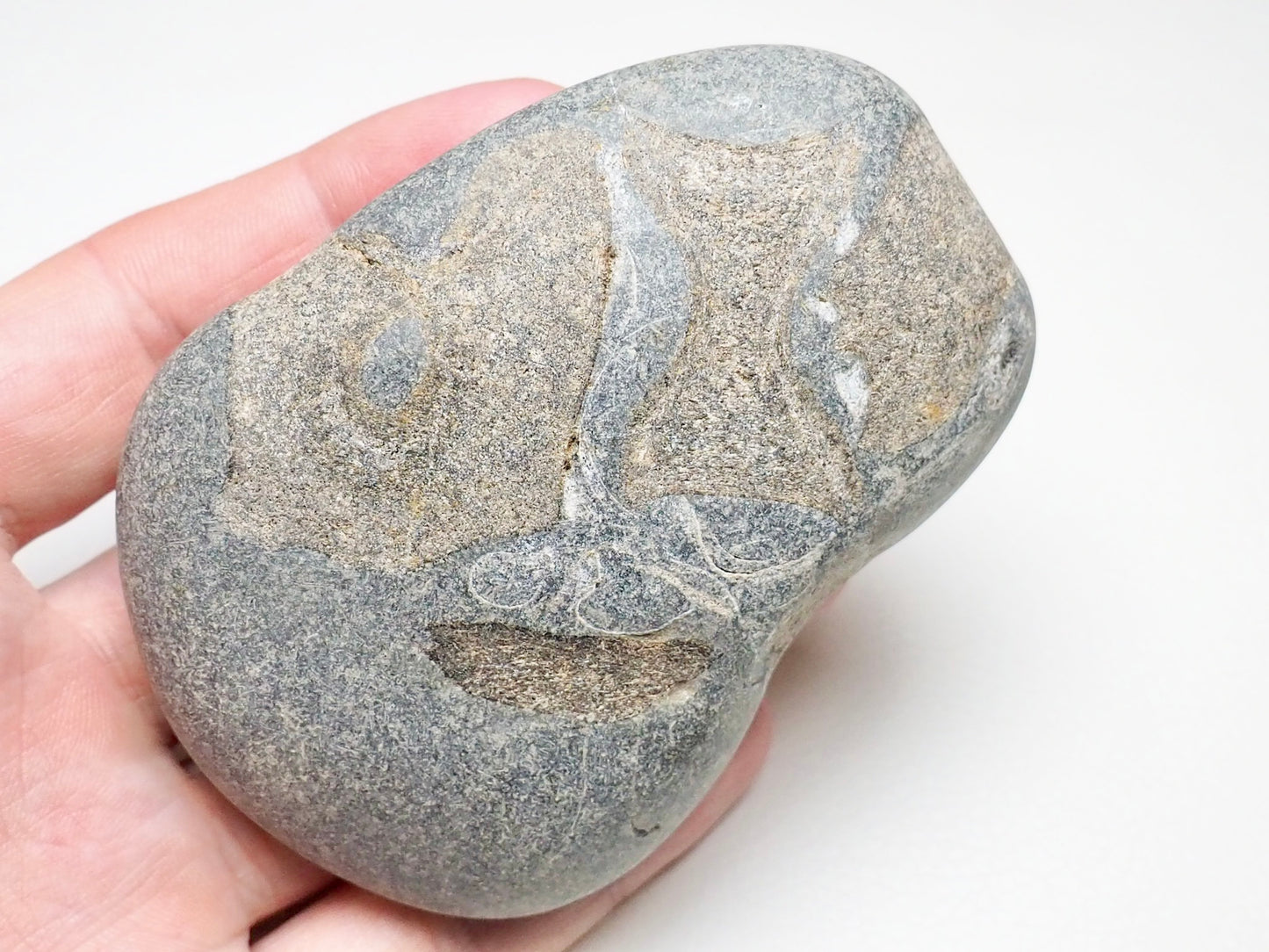 Ichthyosaur Verts in Pebble