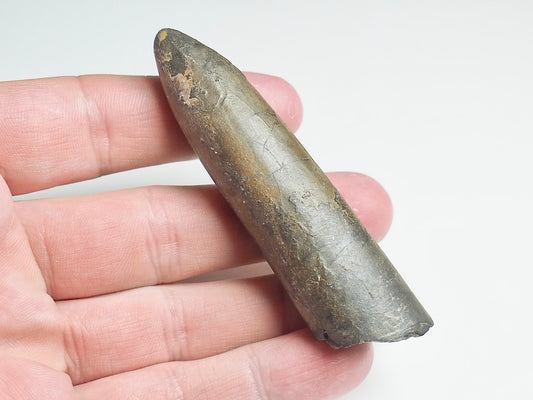 Belemnite - Pick N Mix