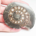 Cut and Polished Ammonite - Pick N Mix