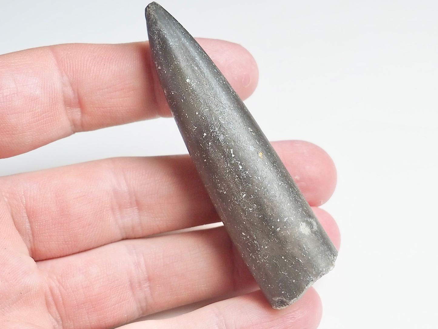 Belemnite - Pick N Mix