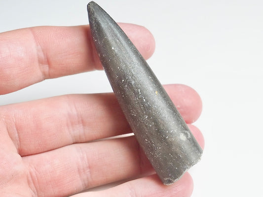 Belemnite - Pick N Mix