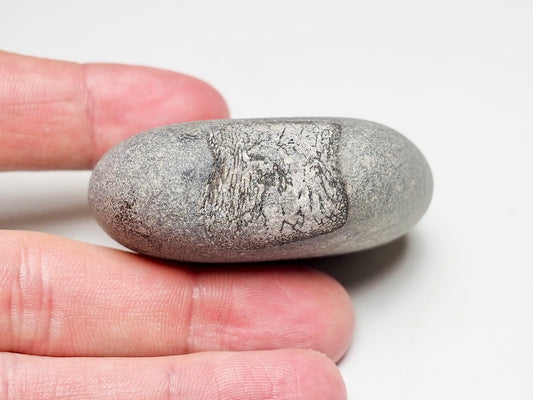 Marine Reptile Bone - Pick N Mix