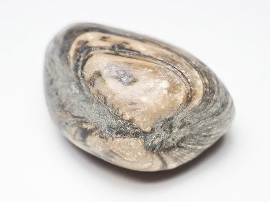 Polished Shell - Pick N Mix
