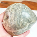 Large Fossil Shell