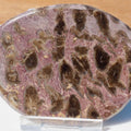 Polished Coral