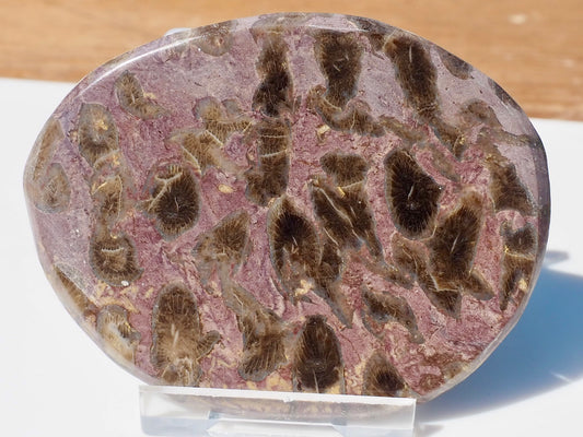 Polished Coral