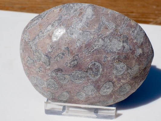 Polished Coral