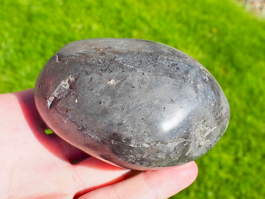 Gyrosteus Fish Bone In Polished Pebble