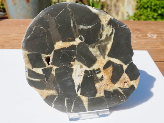 Cut & Polished Septarian Pebble Scunthorpe