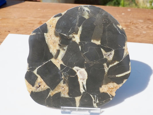 Cut & Polished Septarian Pebble Scunthorpe