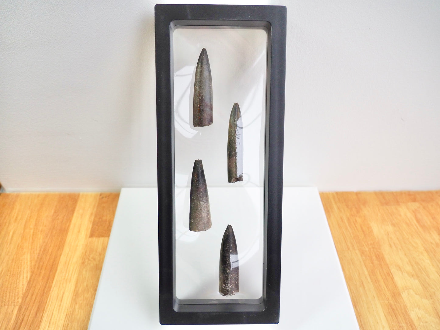 Multi Belemnite Display Piece