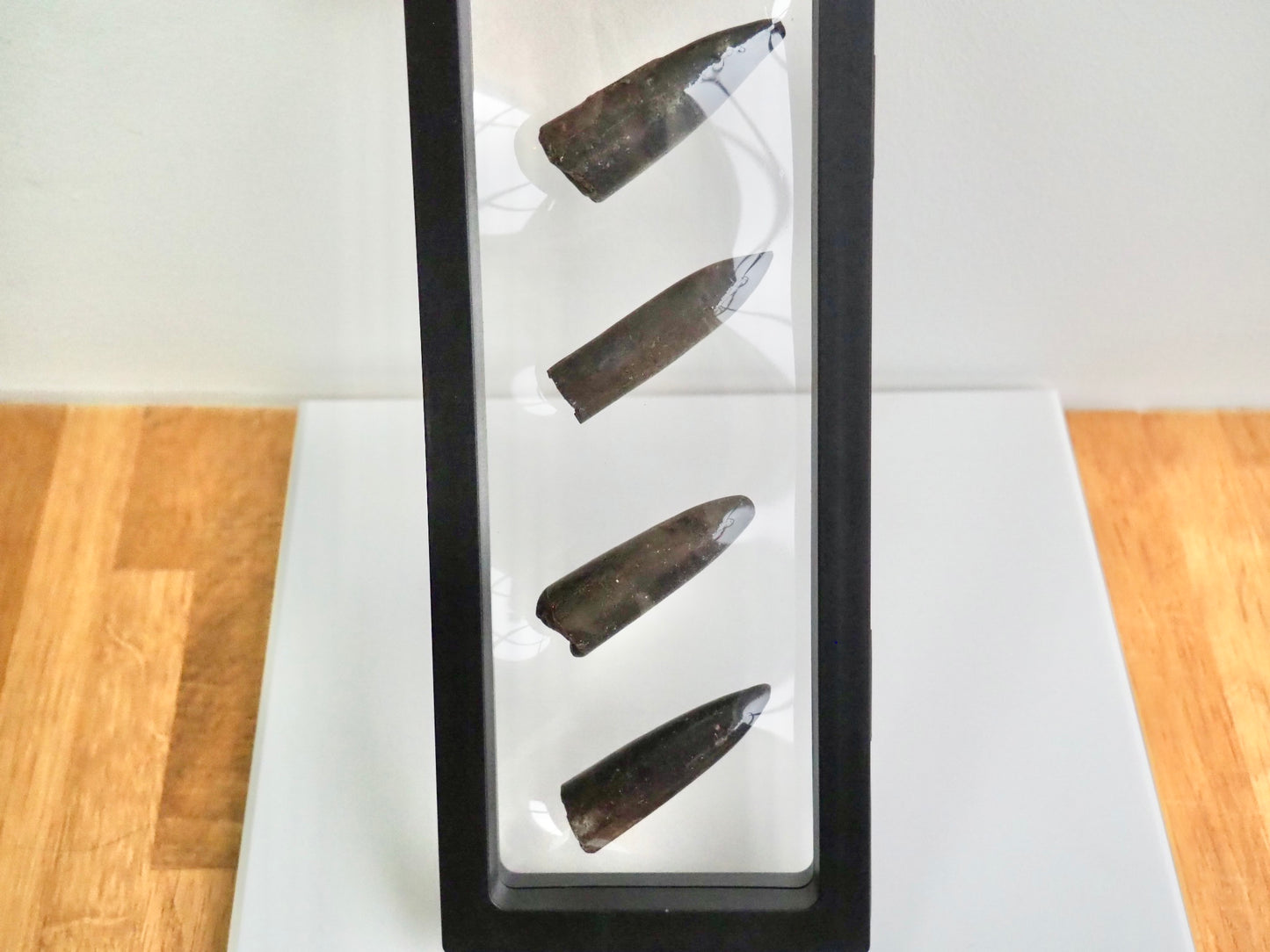 Multi Belemnite Display Piece