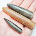 3 Belemnite Specimens