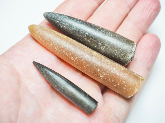 3 Belemnite Specimens