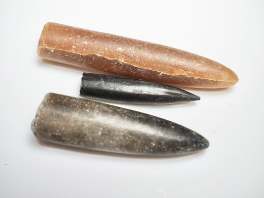 3 Belemnite Specimens