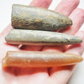 3 Belemnite Specimens