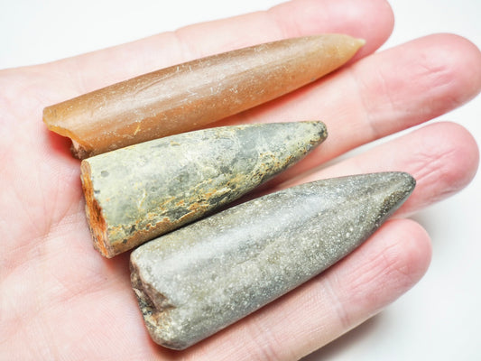 3 Belemnite Specimens