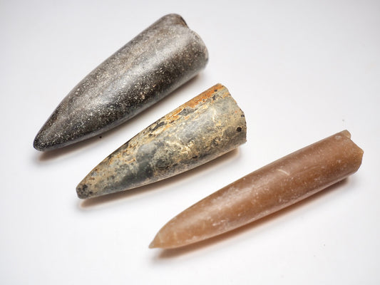 3 Belemnite Specimens