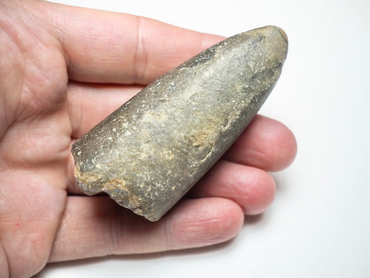 Belemnite Specimen
