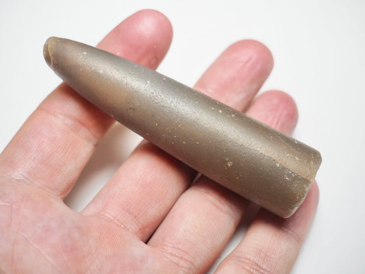 Belemnite Specimen