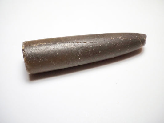 Belemnite Specimen