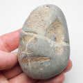 Seaworn Marine Reptile Bone