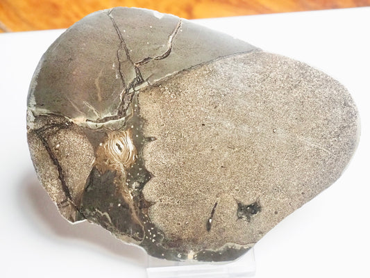 Cut & Polished Bones