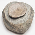 Ichthyosaur Vert