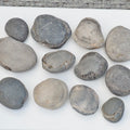 12x Small Ammonite Nodules – Yorkshire Coast Fossils | Crack Your Own | Prep Practice Kit