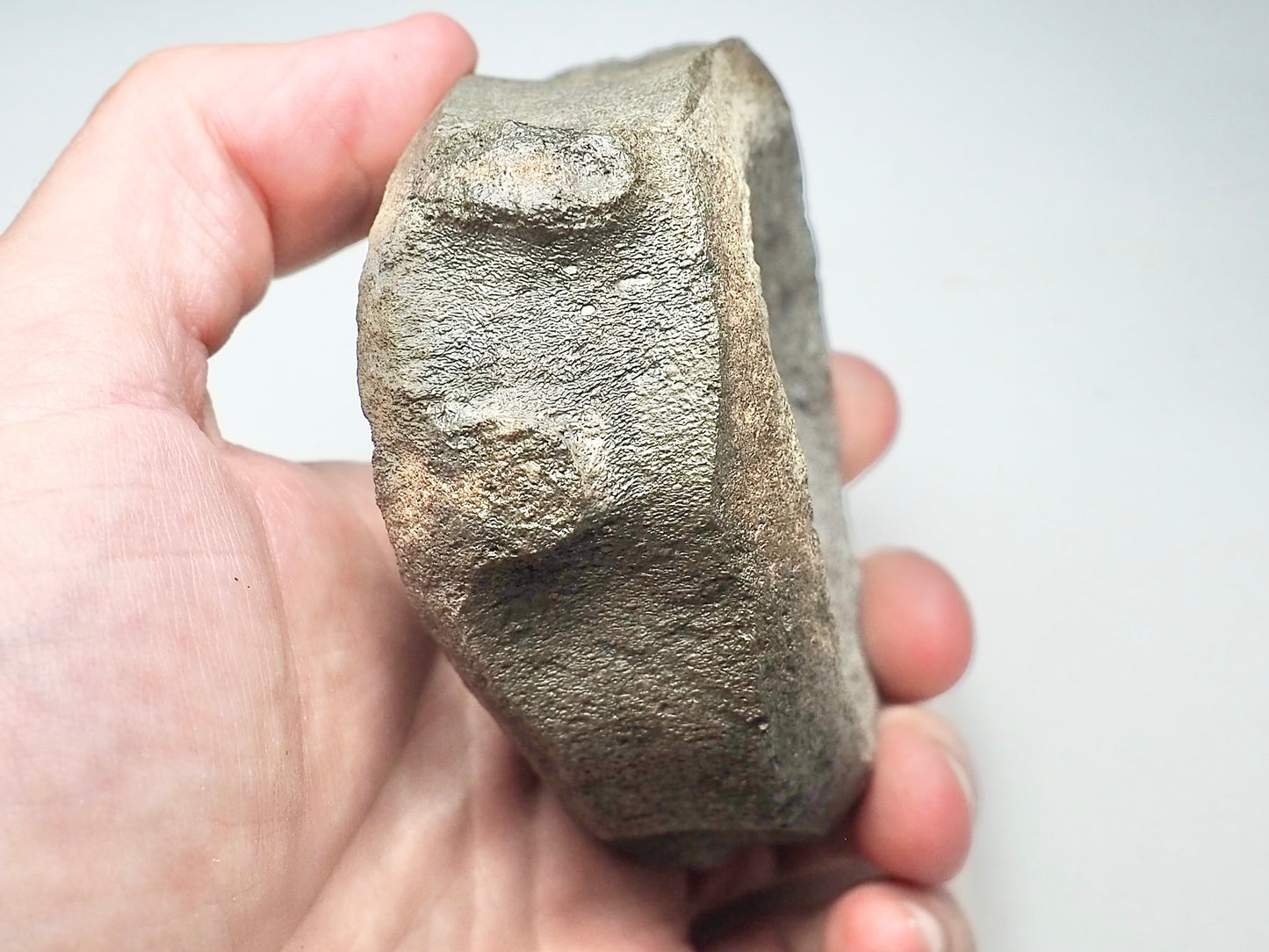 Large Ichthyosaur Vertebra