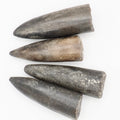 Set of 4 Belemnite Fossils from the Yorkshire Coast Jurassic