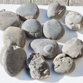 12x Small Ammonite Nodules – Yorkshire Coast Fossils | Crack Your Own | Prep Practice Kit