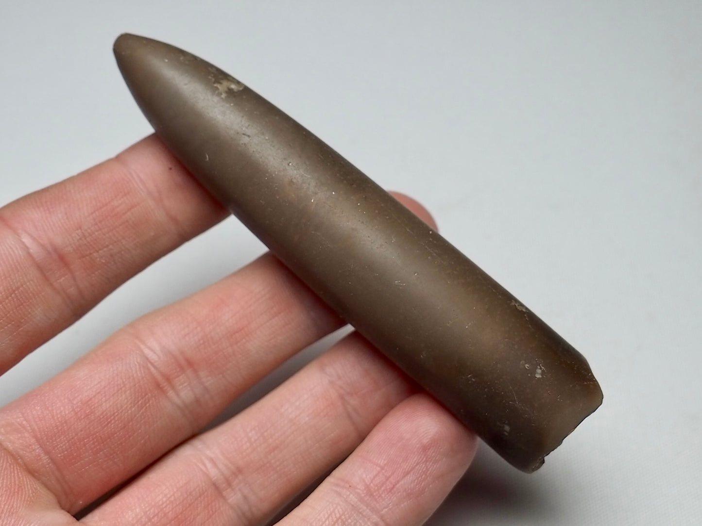 Belemnite