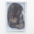 Whitby Jet Display Piece